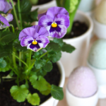 Spring & Easter Pansy Centerpiece