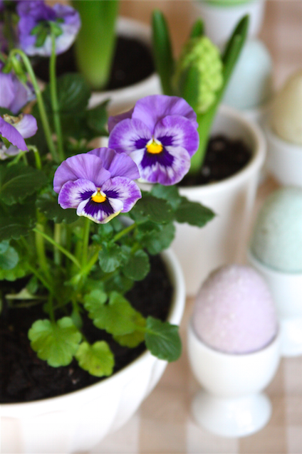 Spring & Easter Pansy Centerpiece 